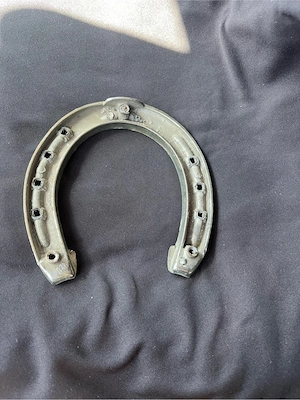 Potcoava ornament grila radiator - imagine 1