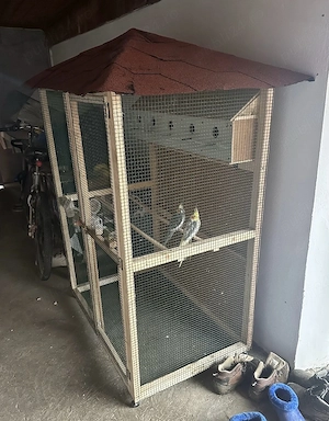 Voliera pentru papagali si pasari exocice - imagine 4