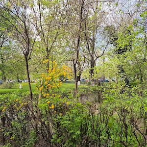 Dr. Taberei - Afi Cotoroceni | Ap. 2 camere | Mobilat |Balcon Generos