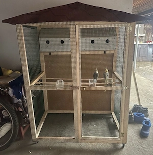 Voliera pentru papagali si pasari exocice