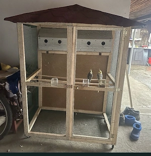 Voliera pentru papagali si pasari exocice - imagine 2