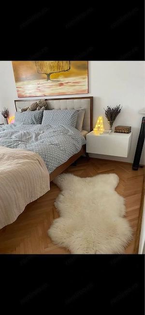 Apartament cu 2 camere mobilat si renovat CENTRALA ET 2 SAGULUI - imagine 5