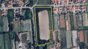 Teren intravilan 23387 mp - Herendesti, aprox 6km de Lugoj - imagine 2