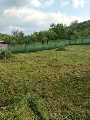 Teren la munte intravilan, 540m2, sat Pitigaia, Arges
