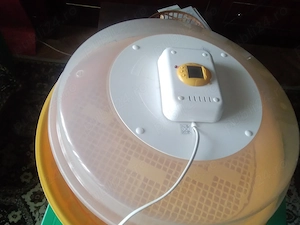 Incubator de pui 