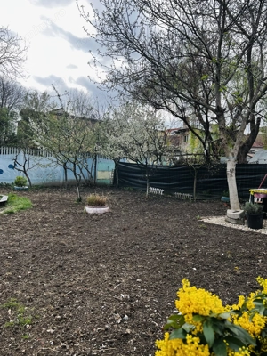 Casa 4 camere  complet renovata - Timisoara - imagine 10