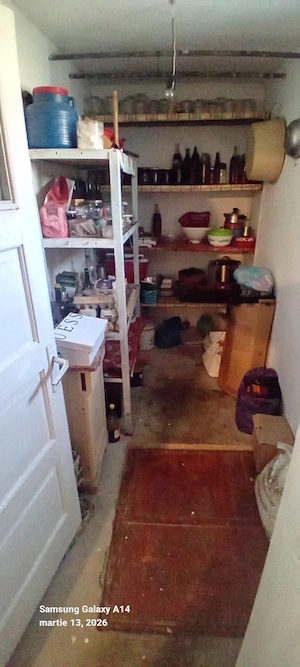 vând casă  în Șiria  - imagine 5