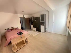 inchiriez apartament 1 camera Giroc 330 euro