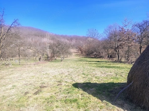 Vând casă cu gradina - imagine 4