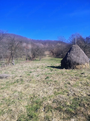 Vând casă cu gradina - imagine 5