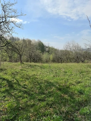 Vand 2920 mp (1 euro mp) teren extravilan Suici - Arges