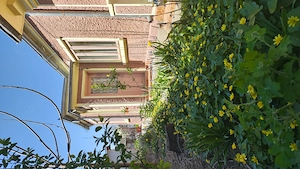 Casa de vânzare str.Bobalna - imagine 2