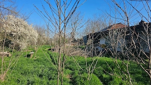 Teren cu casa batraneasca aproape Bucuresti Autostrada Soarelui