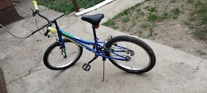 Bicicleta copii Teranna