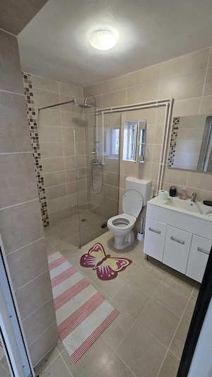 Vand Casa superba com. Pomezeu sat Hidis - imagine 4