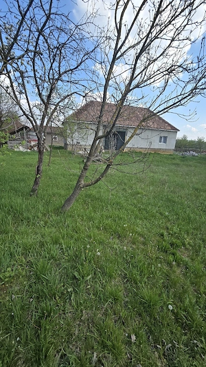 Vand Casa superba com. Pomezeu sat Hidis - imagine 8