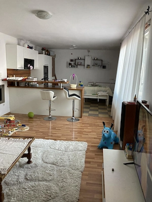 Vand Casa Cu Etaj Si Teren Mare - imagine 3