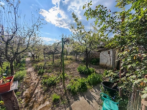 Vand casa in zona Freidorf, Timisoara - imagine 6