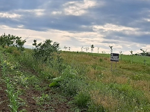 2900m2 teren intravilan in comuna Ion Creanga jud Neamt  - imagine 2