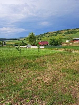 2900m2 teren intravilan in comuna Ion Creanga jud Neamt  - imagine 5