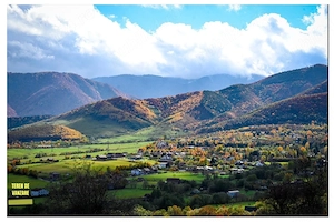 Teren intravilan Tocile Sadu 2000 mp