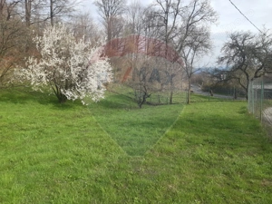 Casă / Vilă cu 7 camere   în zona Bran-Tohanita - imagine 5