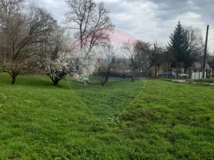 Casă / Vilă cu 7 camere   în zona Bran-Tohanita - imagine 6