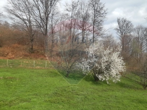 Casă / Vilă cu 7 camere   în zona Bran-Tohanita - imagine 4