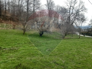 Casă / Vilă cu 7 camere   în zona Bran-Tohanita - imagine 11