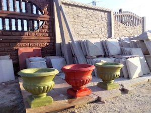 spalieri de vie si gard - imagine 3