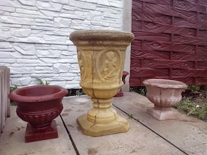 spalieri de vie si gard - imagine 4