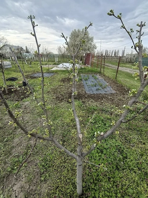 Vând teren intravilan