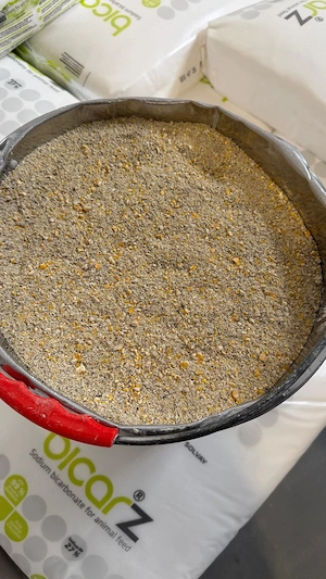 Uruiala cu srot de soia si srot de floarea soarelui 