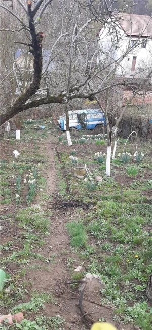 Resita Lot de Casa 600 Mp Toate Utilitatile Zona Triaj - imagine 11