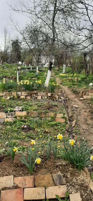 Resita Lot de Casa 600 Mp Toate Utilitatile Zona Triaj - imagine 10