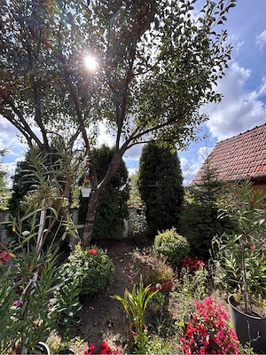 Casă de vânzare - imagine 5