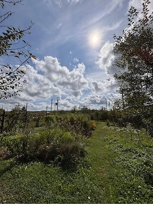 Casă de vânzare - imagine 4