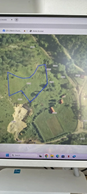 1.2 euro  m2    Vand 3 Terenuri total 1.7 ha la  Runcu Mare jud Hunedoara - imagine 2