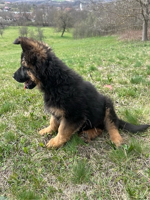 De vânzare - imagine 2