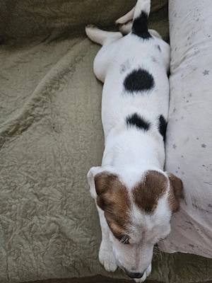 Doar o fetita disponibila  - imagine 3