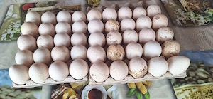 vand ouo de curca - imagine 2