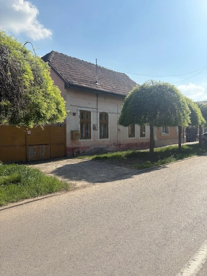 Casă de vânzare în Timișoara  