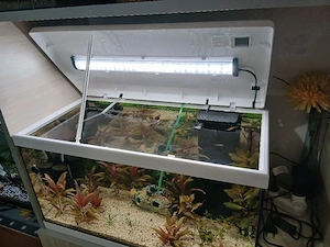 acvariu 60 litrii  - imagine 3