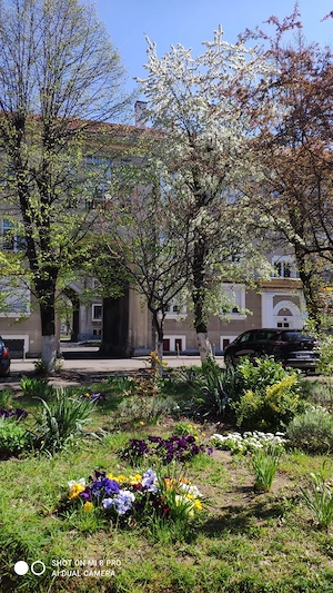 Ultracentral! Inchiriez spatiu la parter str iorga cu vedere spre Bdul Regele Mihai I - imagine 8