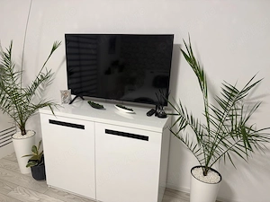 Vand TV Samsung UE49NU7102 (2019) - imagine 4