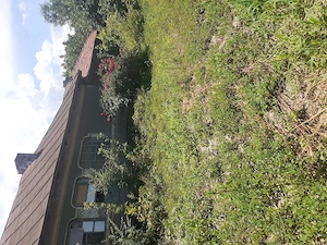 Casă de vanzare  maia județul lalomita  - imagine 2