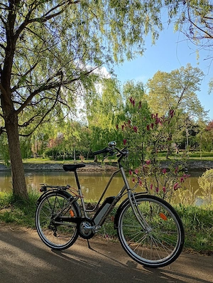 Bicicleta Electrica Nakamura 26"