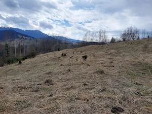 Teren Bucovina Câmpulung Moldovenesc Pârâul Șandru