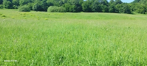 Vind teren extravilan Adâncata 