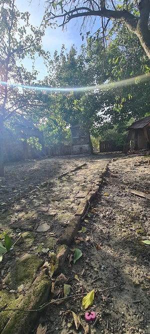 Vând casă (plaț) 1078 m2 - imagine 4